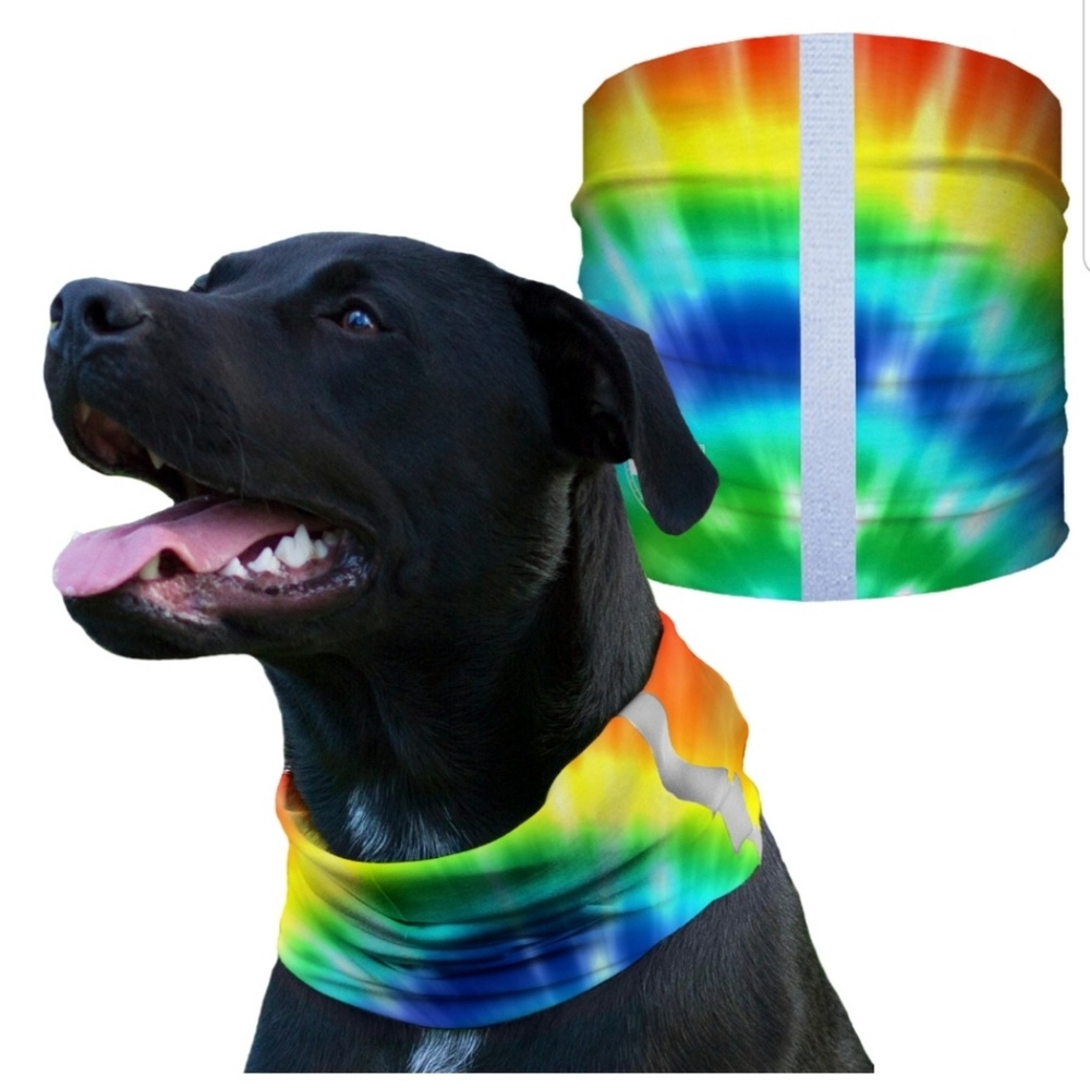 RAVE Dog Shield Bandana Scarf